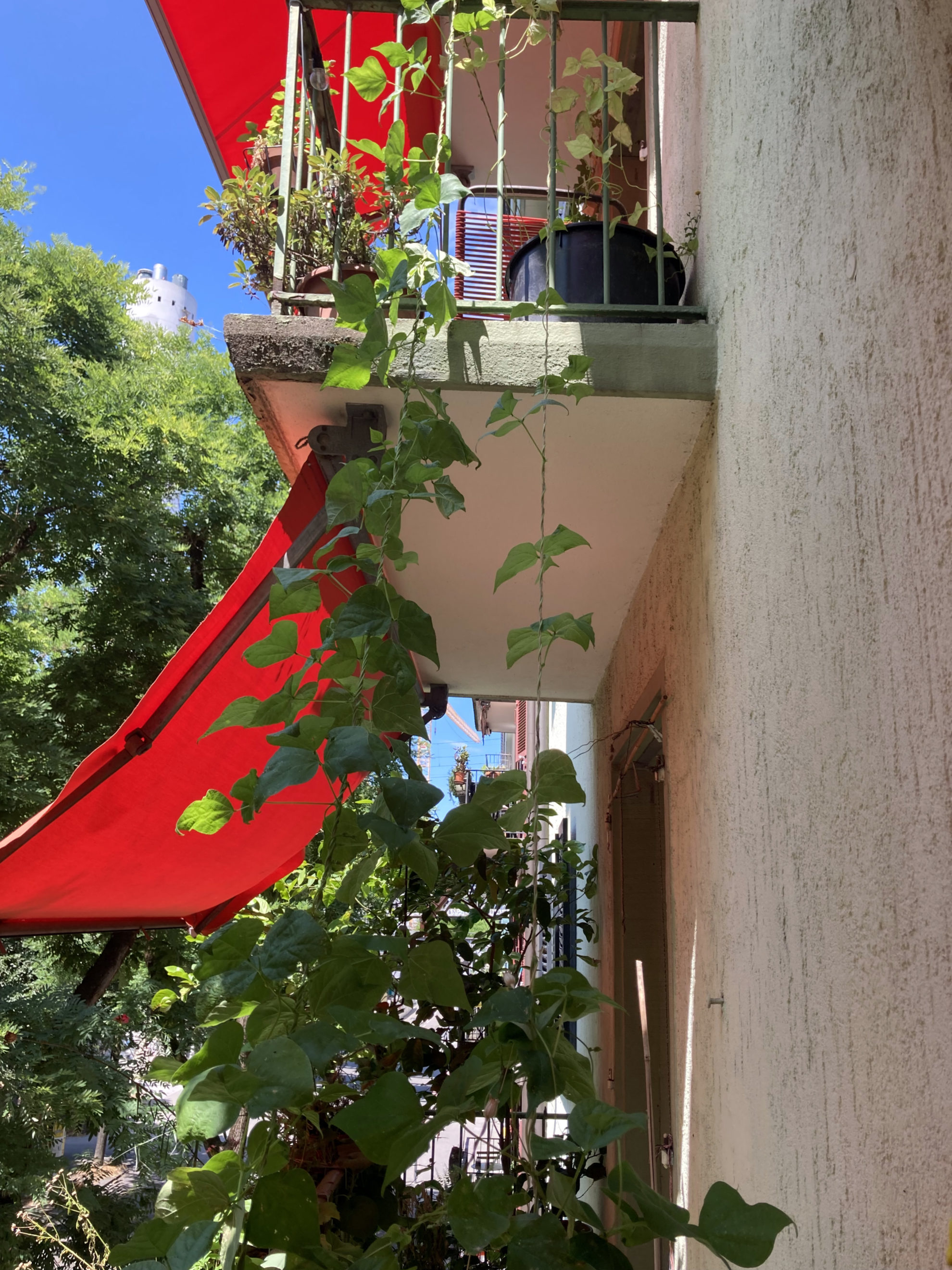 connecting_beans_josef02