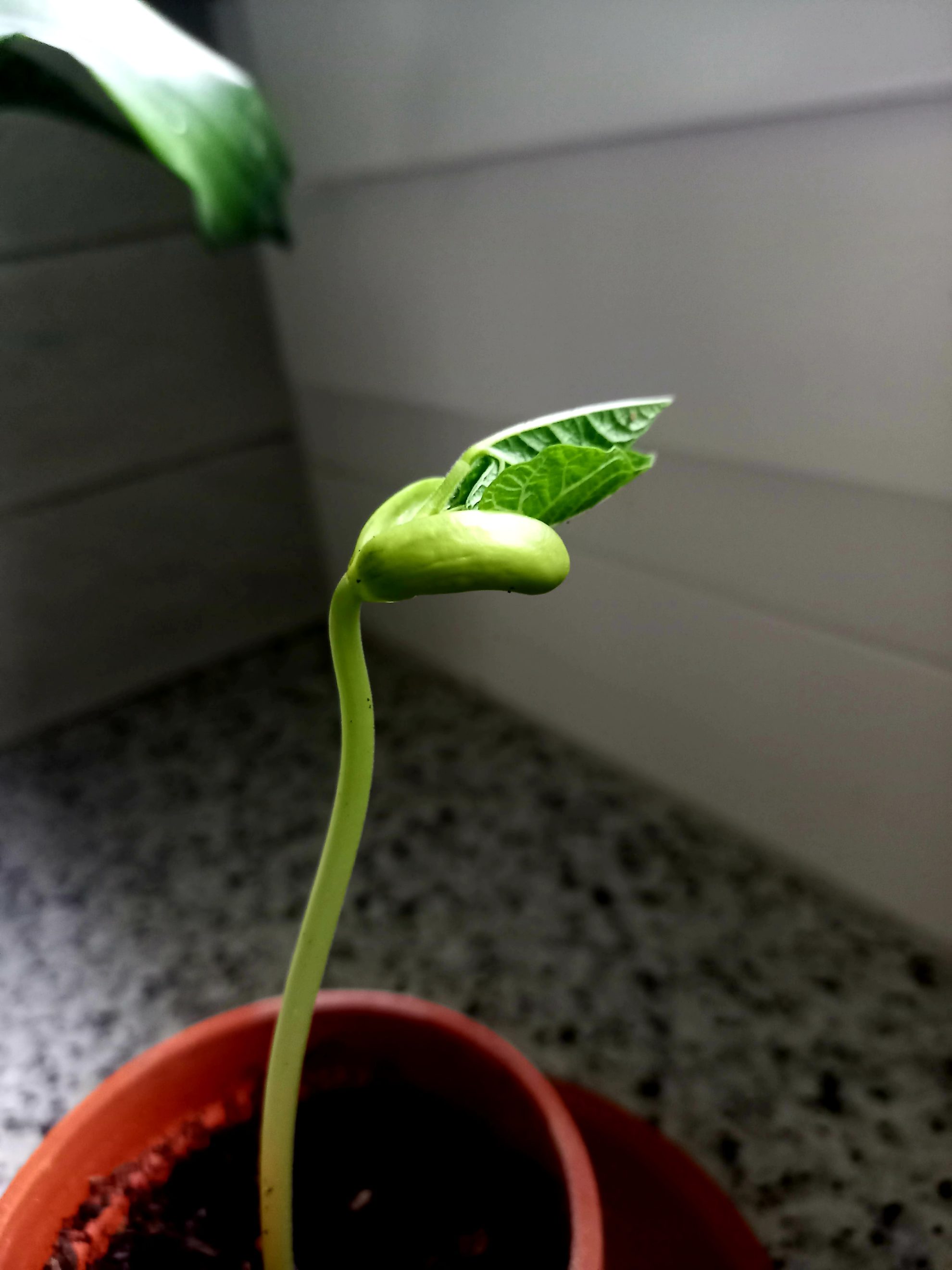 20230505_183613