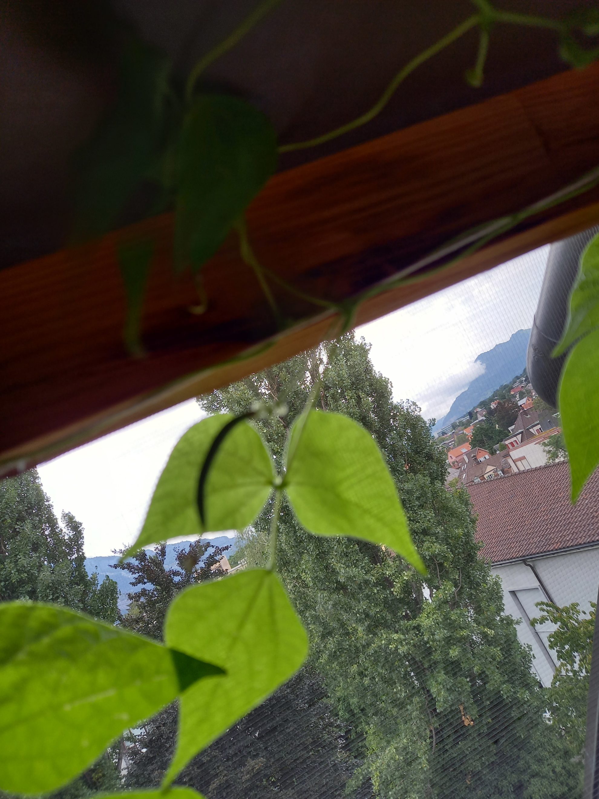 20230826_133604