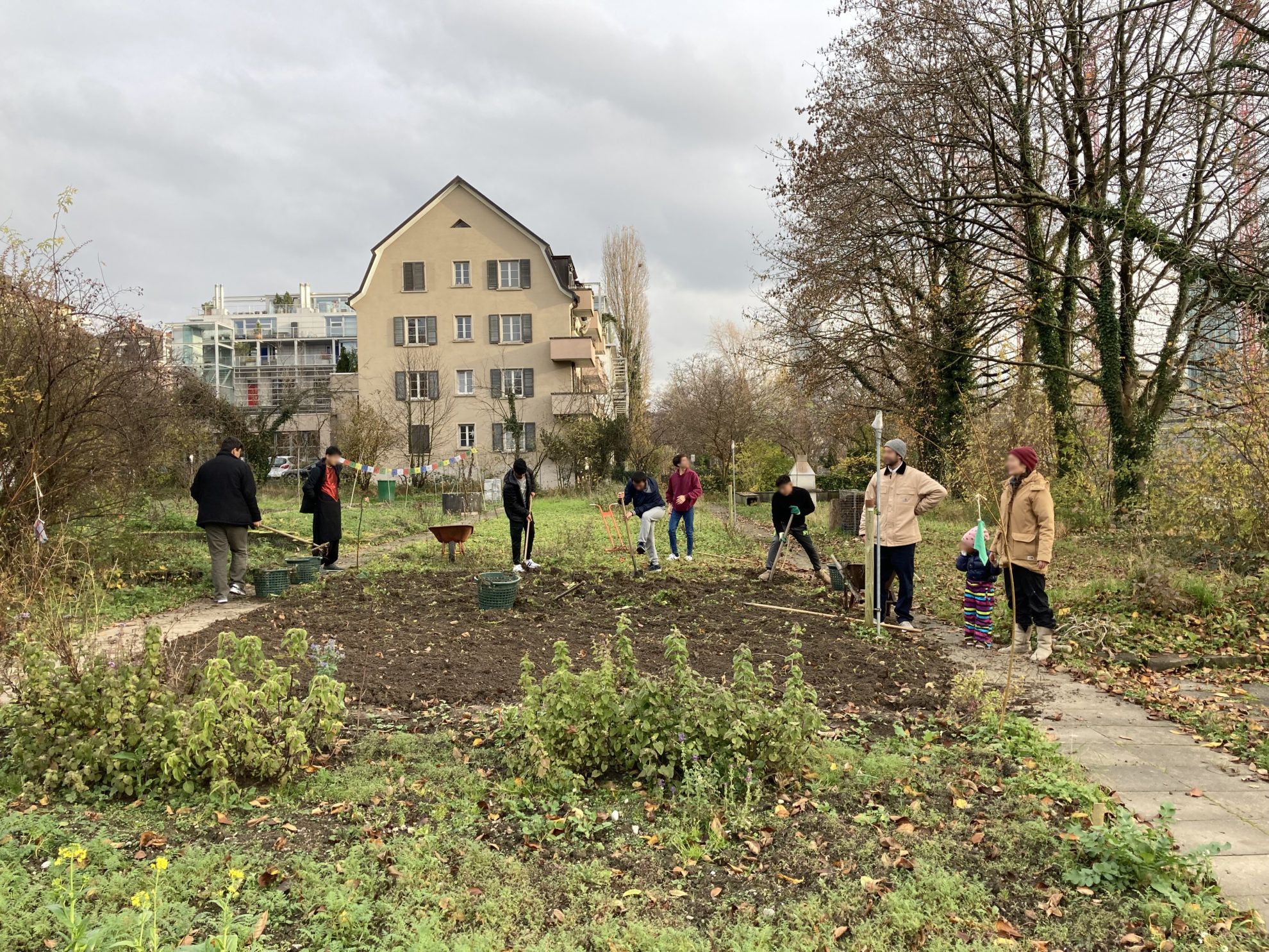 Blumenfeld am Fluss Institut Plapamco